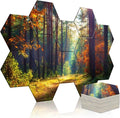 Mollywell Art Acoustic Panels, Soundproofing, Wall Decoration, Suitable by Mollywell