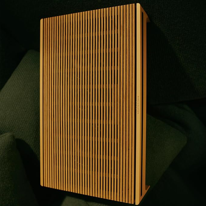 Bang & Olufsen Beosound Level Portable Wi-Fi Multiroom Speaker - Image 14