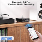 Facmogu AK-3116 HiFi Digital Amplifier, Mini Amp Audio System - Image 3