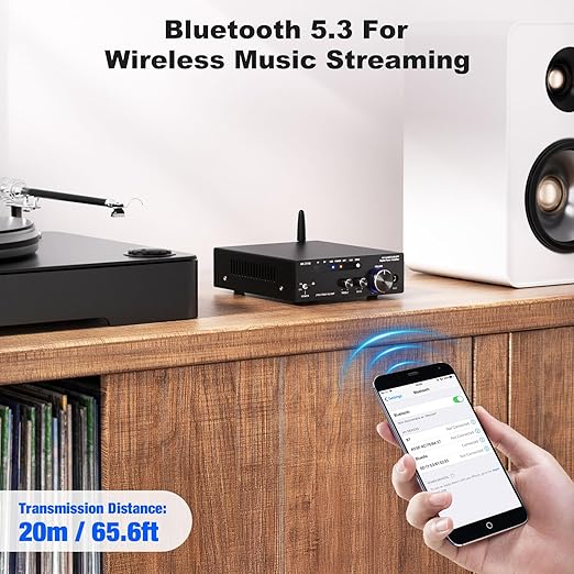 Facmogu AK-3116 HiFi Digital Amplifier, Mini Amp Audio System - Image 3
