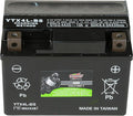 Interstate Batteries YTX4L-BS 12V 3Ah Powersports Battery 50CCA AGM by InterstateBatteries