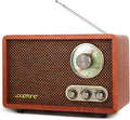 LoopTone USB SD Multifunction AM FM Vintage Radio by LoopTone