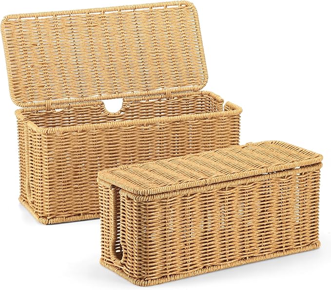 2Pack Large Cable Management Box, Handwoven Imitation Rattan Cord Organizer by ZhiYo