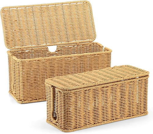 2Pack Large Cable Management Box, Handwoven Imitation Rattan Cord Organizer by ZhiYo