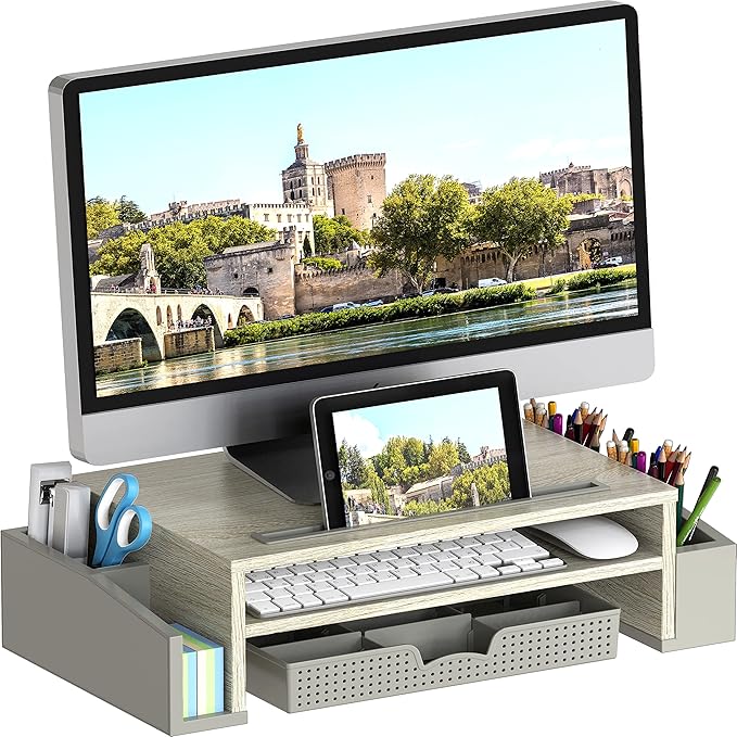 Simple Houseware Desk Monitor Stand Riser by SimpleHouseware