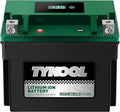 TYKOOL YTX12-BS STD LiFePO4 Lithium Motorcycle Battery, 2X Cranking Amps by TYKOOL