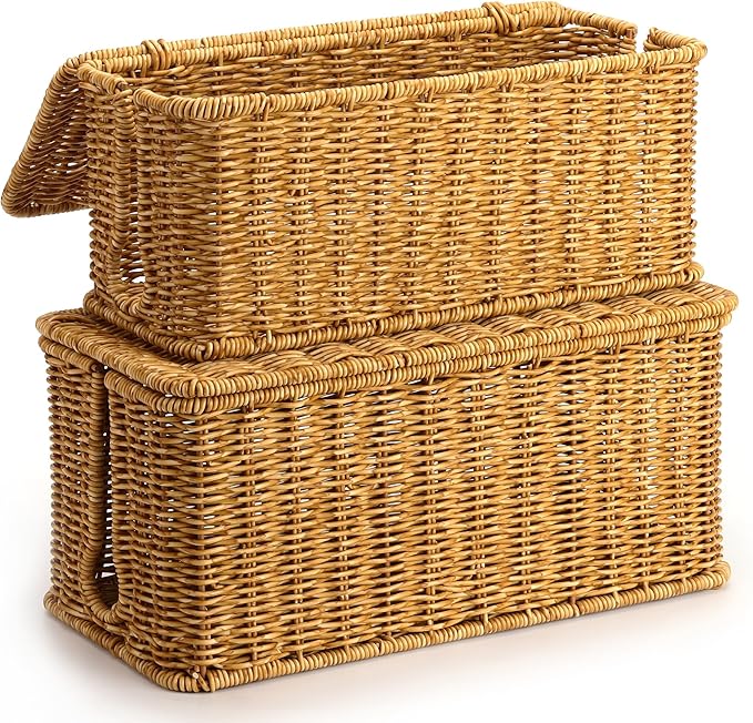 2Pack Large Cable Management Box, Handwoven Imitation Rattan Cord Organizer by ZhiYo