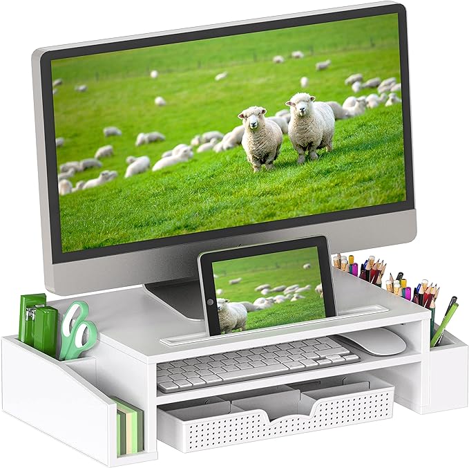 Simple Houseware Desk Monitor Stand Riser by SimpleHouseware