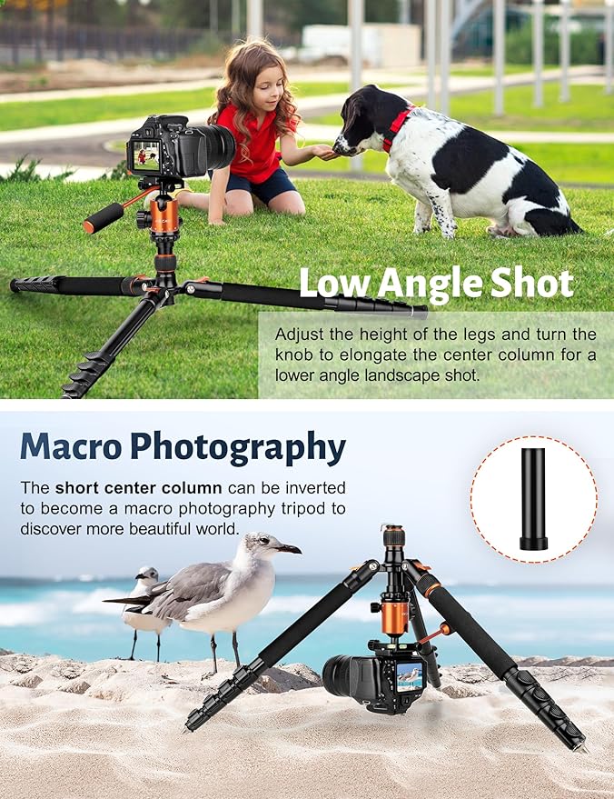 Camera Tripod, Converts to Monopod, Holds 35lbs - Image 6