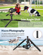 Tripod for Camera, Professional Aluminum Tripods, Heavy Duty Tripod for DSLR - Image 7